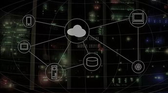 《第一后裔》画面调优攻略：深度解析，解锁最佳视觉体验