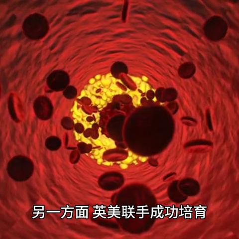 《暗黑破坏神：不朽》2024玩家调研揭秘，深度解析感恩共创新篇章