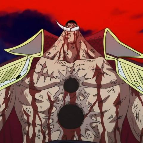 航海传奇必看！大航海时代传说热门选择攻略揭秘