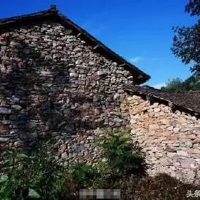 奇蛋生物石头岛布局攻略:揭秘高效策略,打造完美游戏体验 奇蛋生物石头岛布局攻略:揭秘高效策略,打造完美游戏体验