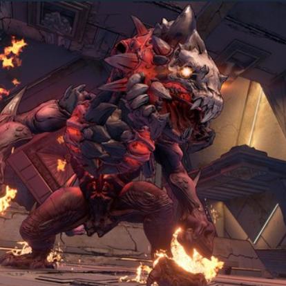 《无主之地4》续杯魔女BD攻略，解锁无限续杯技巧揭秘