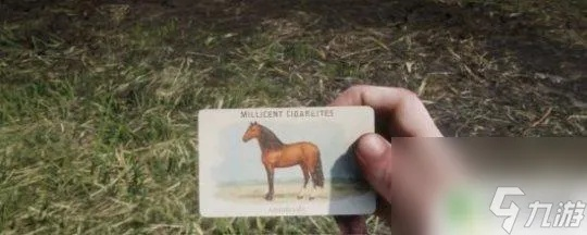 荒野大镖客2名驹鉴赏卡攻略：快速定位获取香烟卡技巧揭秘