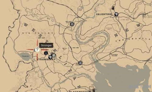 荒野大镖客2石刻10位置揭秘！高效攻略助你轻松找到宝藏