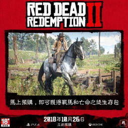 《荒野大镖客2》美国梦任务攻略：深度解析，解锁美国梦之旅秘籍