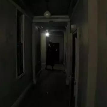 《寂静岭f》全谜题攻略：解谜技巧+步骤详解，轻松解锁隐藏答案