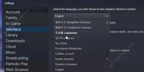 《星空》中文设置攻略：轻松切换语言体验全新中文魅力