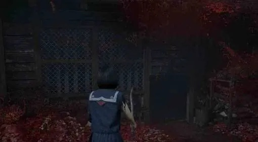 寂静岭F价格揭秘：玩家必看性价比攻略