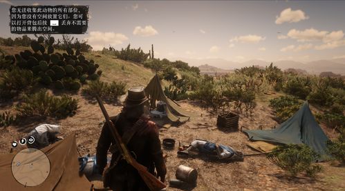 荒野大镖客2大师分布揭秘：切洛尼亚大师点精准定位攻略