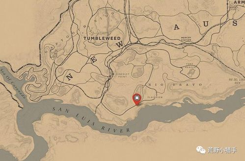 荒野大镖客2犰狳镇传令员速查！高效攻略助你快速定位