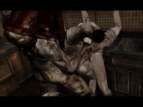 《寂静岭f》豪华版独家福利！揭秘预购特典领取攻略，体验独特游戏魅力