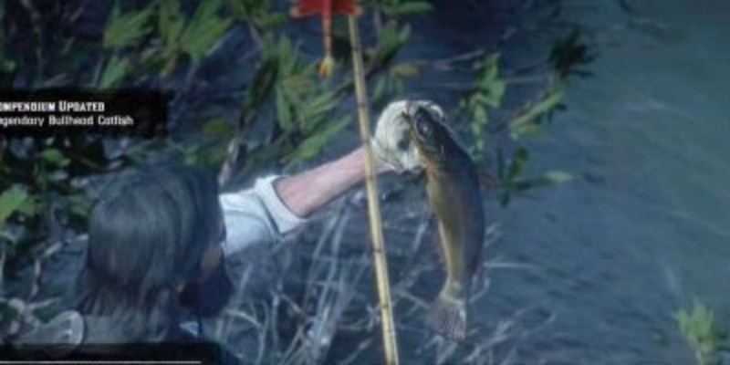 荒野大镖客2传说钳鱼精准位置揭秘！高效攻略助你轻松捕获