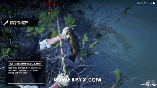 荒野大镖客2褐首鲇藏匿地点揭秘！高效攻略助你轻松捕获