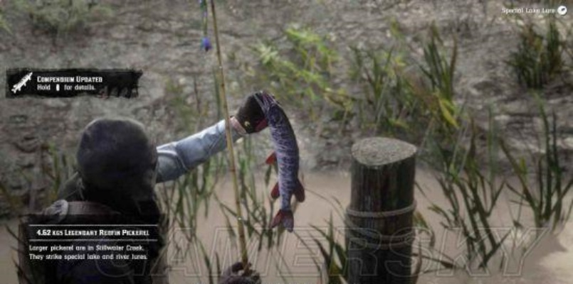 荒野大镖客2传说暗色狗鱼速寻攻略，解锁隐藏珍稀鱼类技巧揭秘