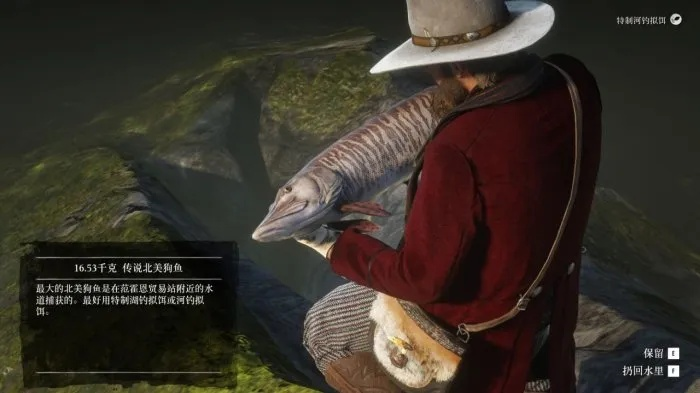 荒野大镖客2北美狗鱼藏匿点揭秘，传说位置攻略全解析