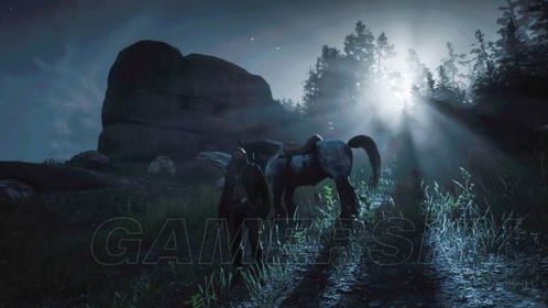 荒野大镖客2红鲑传说位置揭秘！高效攻略助你轻松找到宝藏