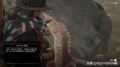 荒野大镖客2传说湖鲟精准位置揭秘!高效攻略助你轻松捕获 荒野大镖客2传说湖鲟精准位置揭秘!高效攻略助你轻松捕获