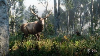 荒野大镖客2寻传家宝麋鹿秘境攻略，解锁传说珍稀地点