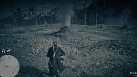 荒野大镖客2传奇野猪寻踪攻略：揭秘神秘位置技巧