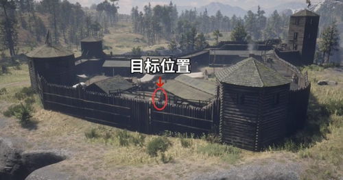 荒野大镖客2神射手2挑战攻略：轻松解锁神射手技巧全解析