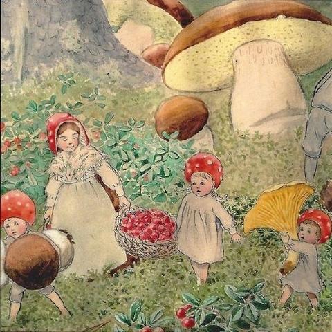 《森林之子》存档位置揭秘：轻松找到游戏存档新技巧