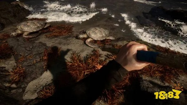 《森林之子》全特效畅玩必备！揭秘超高性能配置攻略