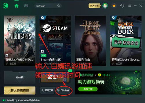 《狂野之心》帧数波动解决方案：稳定游戏体验必备技巧