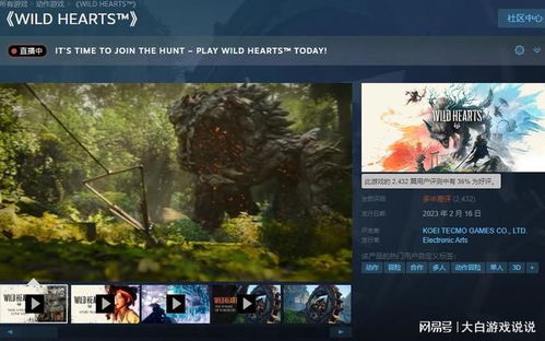 《狂野之心》PC帧数提升攻略：解锁流畅体验新秘籍