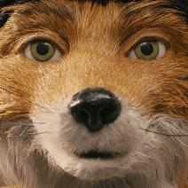 《消逝光芒》开局必备！野兽技能MOD教学攻略大揭秘