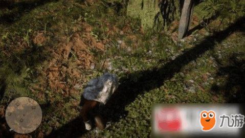 荒野大镖客2草药大师8挑战攻略:高效通关秘籍大揭秘 荒野大镖客2草药大师8挑战攻略:高效通关秘籍大揭秘