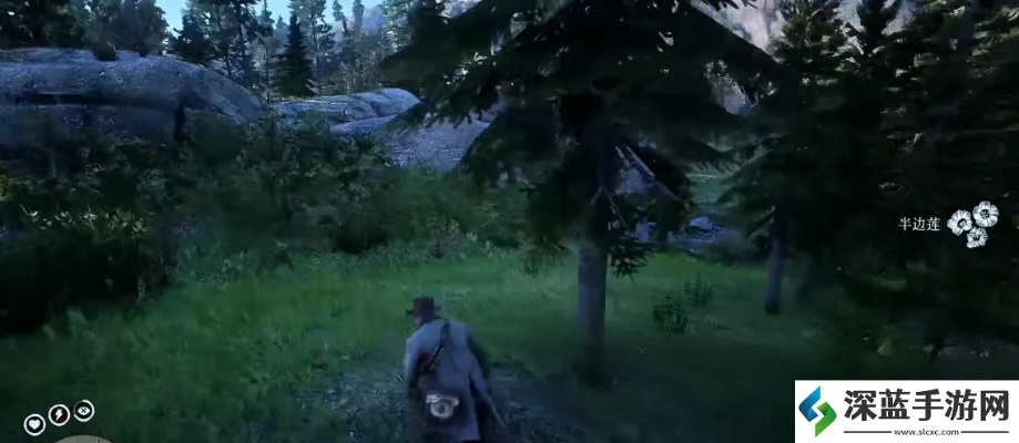 荒野大镖客2草药大师6挑战攻略：高效通关秘籍大揭秘