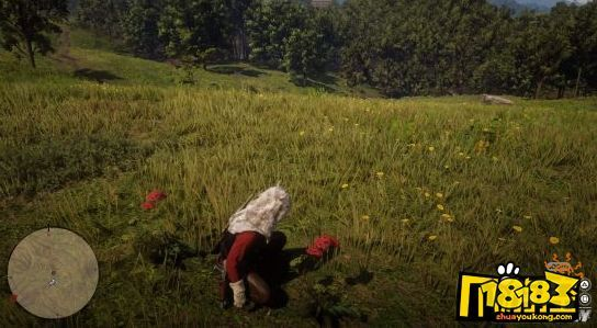 荒野大镖客2草药大师5挑战攻略：高效通关秘籍大揭秘