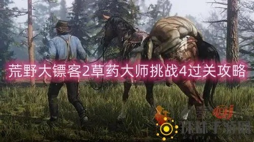 荒野大镖客2草药大师4挑战攻略：高效通关秘籍大揭秘