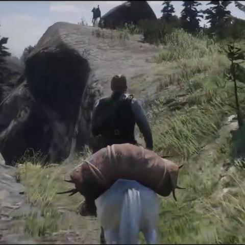 荒野大镖客2捕猎大师2挑战攻略:高效捕猎技巧解析秘籍 荒野大镖客2捕猎大师2挑战攻略:高效捕猎技巧解析秘籍