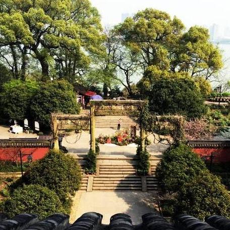 咸鱼之王攻略：平民玩家爬塔必备，最强阵容搭配技巧揭秘