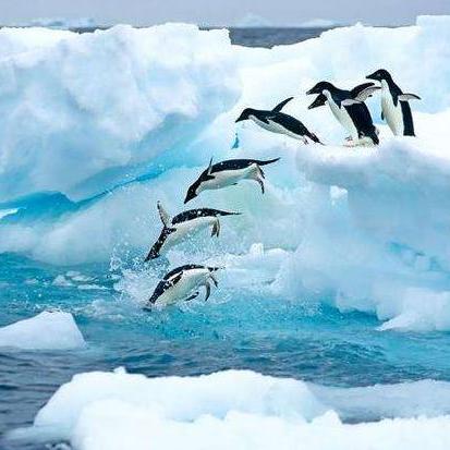 《无主之地3》全支线任务攻略：深度解析，解锁隐藏宝藏秘籍