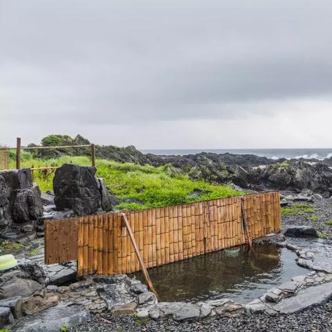 破解海龟汤谜题:五大经典故事解析及独家攻略揭秘 破解海龟汤谜题:五大经典故事解析及独家攻略揭秘