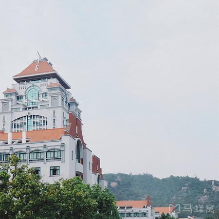 海龟汤题库解析：海量题目答案一网打尽，助你轻松通关！