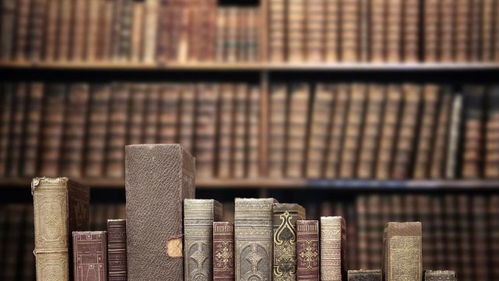 《海龟汤》谜题解析:揭秘惊悚谜案背后的答案秘籍 《海龟汤》谜题解析:揭秘惊悚谜案背后的答案秘籍