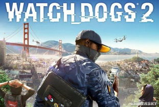 《看门狗2》安装启动故障速解攻略，告别常见问题烦恼