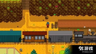 《星露谷物语》闪退崩溃？独家修复秘籍，告别卡顿！