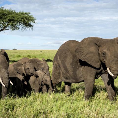 《巴尔的遗产》性价比揭秘：超值价格攻略大公开