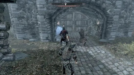 上古卷轴5刺杀皇帝任务攻略：高效通关秘籍，轻松成为暗影刺客
