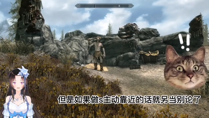 上古卷轴5虎人攻略：深度解析老虎人玩法技巧，助你轻松升级