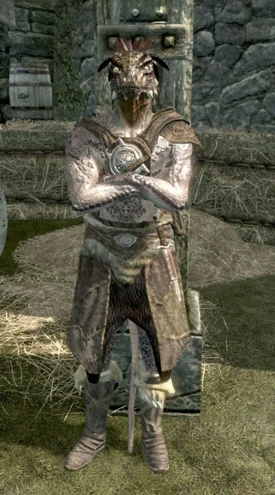 上古卷轴5亚龙人攻略:高效玩法技巧揭秘,轻松掌控战斗优势 上古卷轴5亚龙人攻略:高效玩法技巧揭秘,轻松掌控战斗优势