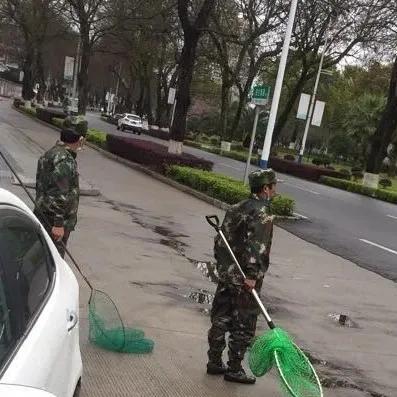 《无主之地4》死者脑栓高效获取攻略，揭秘脑栓位置技巧