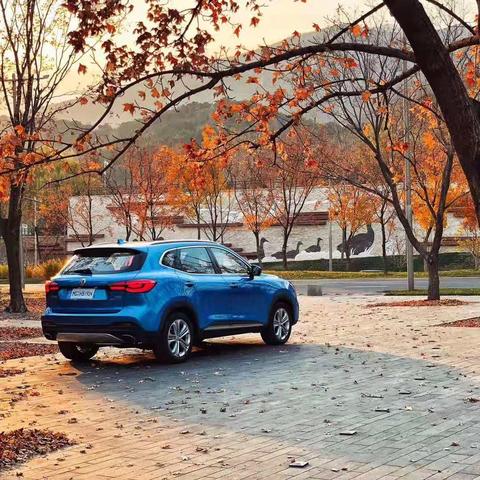 《梦之形》新升级！独家揭秘：沉浸式体验新境界