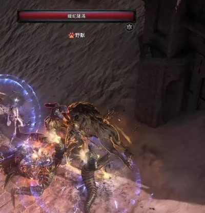 《流放之路2》宝藏地图：必看野兽出没与抓宝宝攻略大全