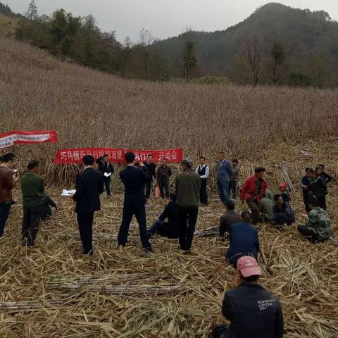 十三州攻略：新手必看！《十三州行动》玩法详解，轻松上手！