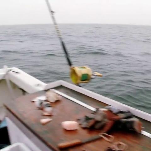 《潜水员戴夫》金枪鱼盛宴攻略：揭秘最佳菜品选择技巧