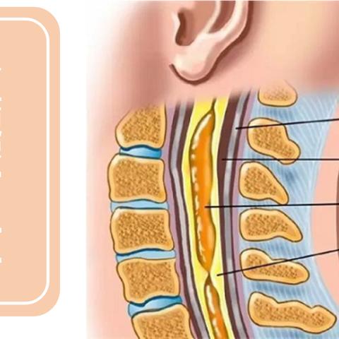 《空洞骑士丝之歌》MOD下载:快速传送功能助你畅游游戏世界 《空洞骑士丝之歌》MOD下载:快速传送功能助你畅游游戏世界